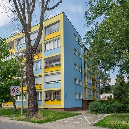 Saska Kepa Standard * Warszawa